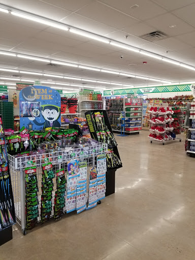 Dollar Store «Dollar Tree», reviews and photos, 4095 US-1 #301, Monmouth Junction, NJ 08852, USA