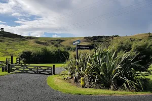 Te Haruhi Bay Campground image