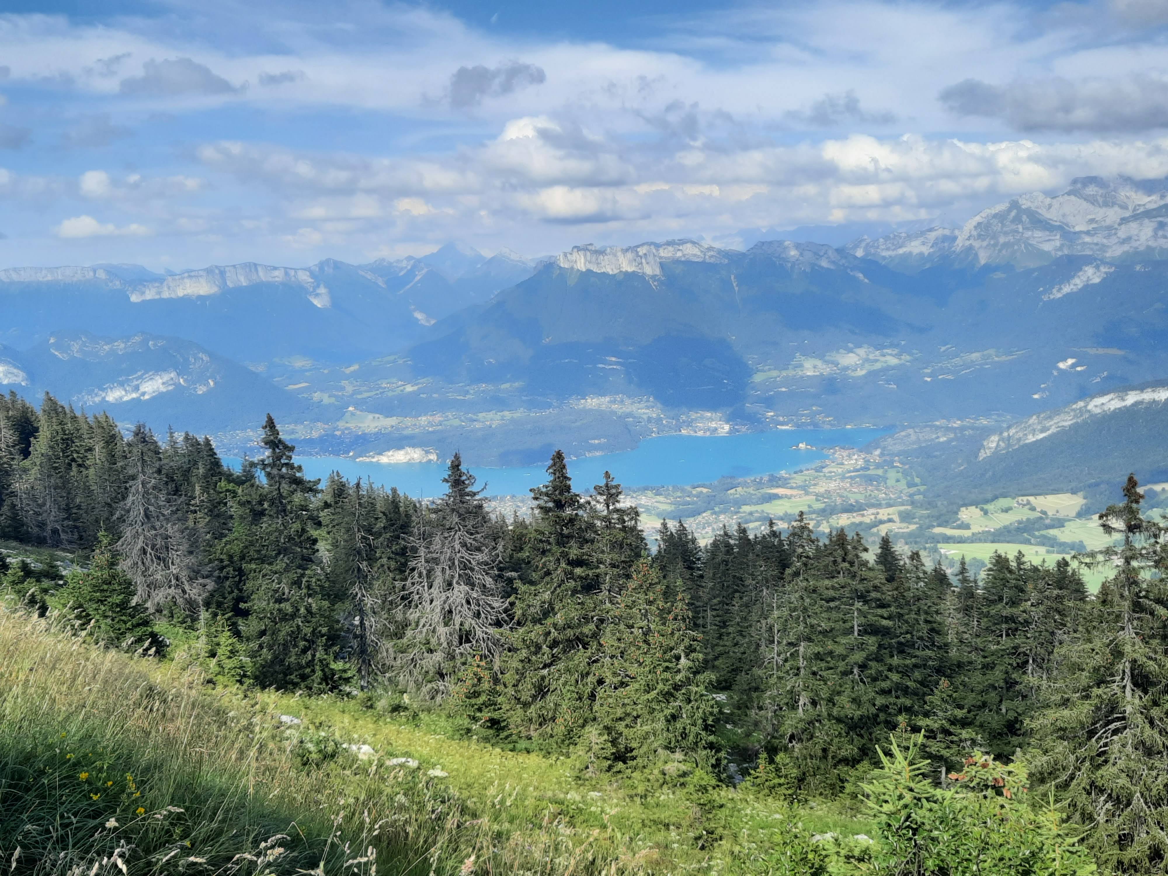 Photo n° 18 de l'avis de Moïse.a fait le 17/08/2021 à 02:16