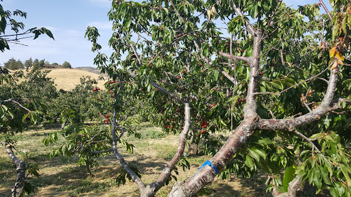 Organic farm Palmdale