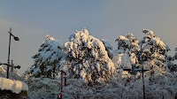 弘前公園 市民広場