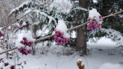 Arboretum «Yakima Area Arboretum», reviews and photos, 1401 Arboretum Dr, Yakima, WA 98901, USA