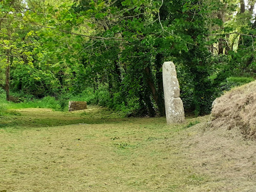 Stèle protohistorique à Goulien