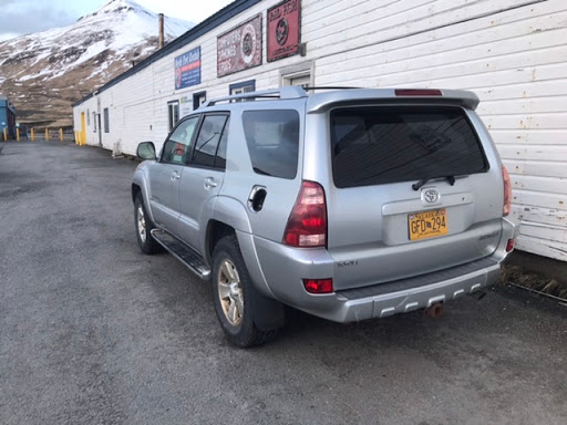 Red Fish Electronics