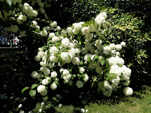 Event Venue «The Lounsbury House», reviews and photos, 316 Main St, Ridgefield, CT 06877, USA