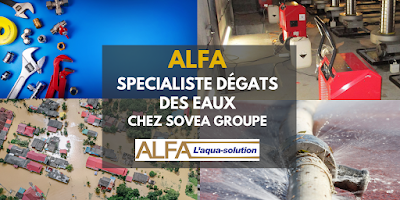 Alfa Biarritz - SOVEA Groupe à Villefranque