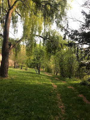 Parc des horts à Nonette-Orsonnette