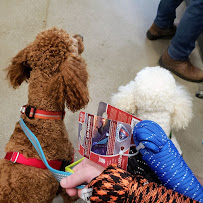 Lowe's Home Improvement - Photo 6 - Car repair in Fort Wayne, IN, Fort Wayne