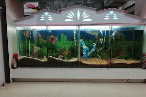 Sheetal Fish Aquarium image