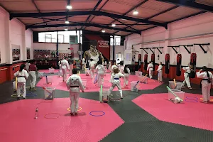 Peterborough Martial Arts Academy image