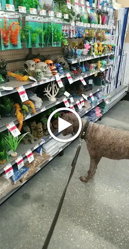 Pet Supply Store «Pet Supplies Plus», reviews and photos, 21703 Village Lakes Shopping Center Dr, Land O Lakes, FL 34639, USA