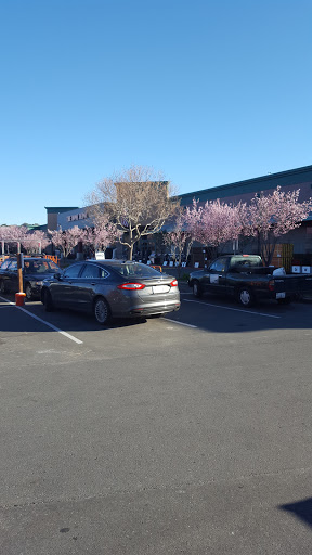 Home Improvement Store «The Home Depot», reviews and photos, 100 Bicentennial Way, Santa Rosa, CA 95403, USA