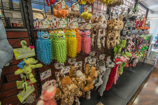 Pet Supply Store «Modern Pet», reviews and photos, 212-77 26th Ave, Bayside, NY 11360, USA