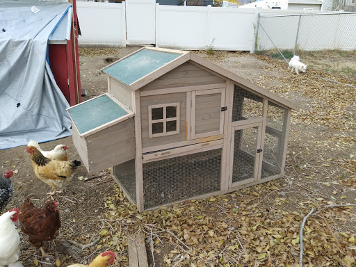 Department Store «Walmart Supercenter», reviews and photos, 9151 Quarry Bend Dr, Sandy, UT 84094, USA