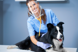 Combs Veterinary Clinic image