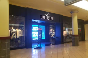 Hollister Co. image