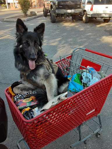 21151 Old Sonora Columbia Rd, Sonora, CA 95370, USA