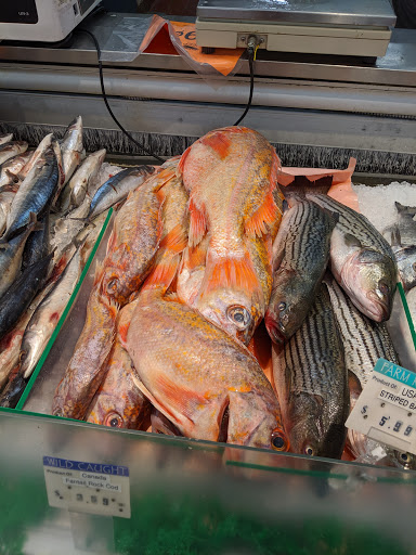 Supermarket «Pacific Supermarket», reviews and photos, 2900 Alemany Blvd, San Francisco, CA 94112, USA