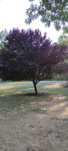 Park «Roosevelt Park», reviews and photos, Roosevelt Dr, Edison, NJ 08837, USA