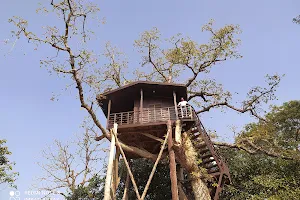 Katarniaghat Wildlife Sanctuary image