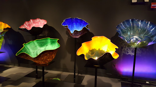 Event Venue «Gallery of Amazing Things», reviews and photos, 481 S Federal Hwy, Dania Beach, FL 33004, USA