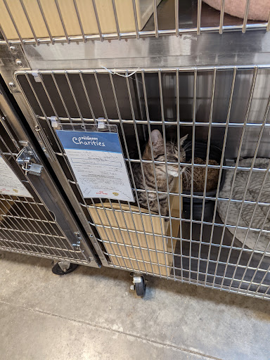 Pet Supply Store «PetSmart», reviews and photos, 45 Park Pl Dr, Covington, LA 70433, USA