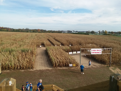 Tourist Attraction «Shipshewana Corn Maze», reviews and photos, 505 Morton St, Shipshewana, IN 46565, USA