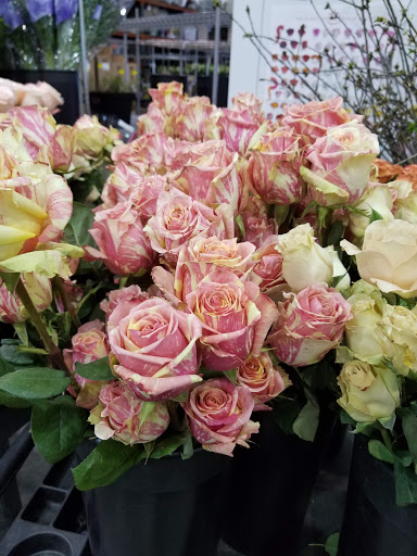 Florist «Twinbrook Floral Design», reviews and photos, 9579 Braddock Rd, Fairfax, VA 22032, USA