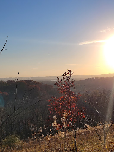 Savannah Oaks Hiking Trail