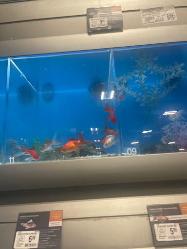 Pet Supply Store «Petco Animal Supplies», reviews and photos, 1945 W Palmetto St #250, Florence, SC 29501, USA