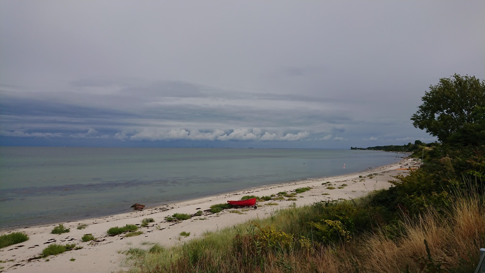 Foto di Dinestrup Beach con molto pulita livello di pulizia