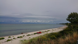 Foto di Dinestrup Beach con molto pulita livello di pulizia