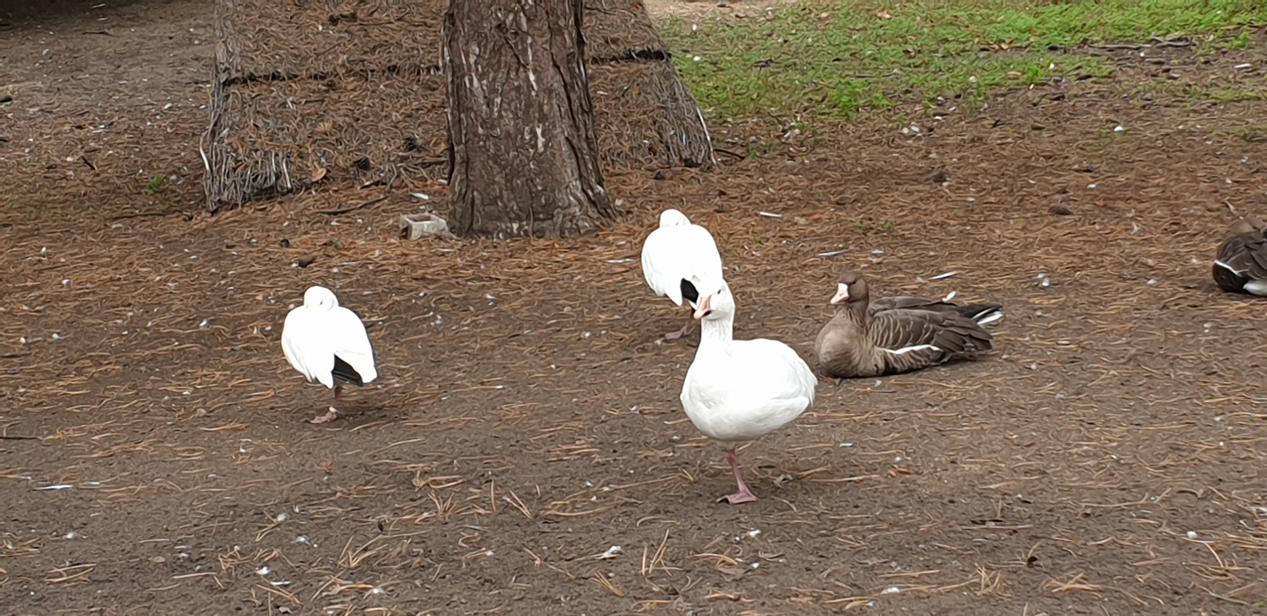 Photo n° 43 de l'avis de Julien.' fait le 23/10/2019 à 14:35