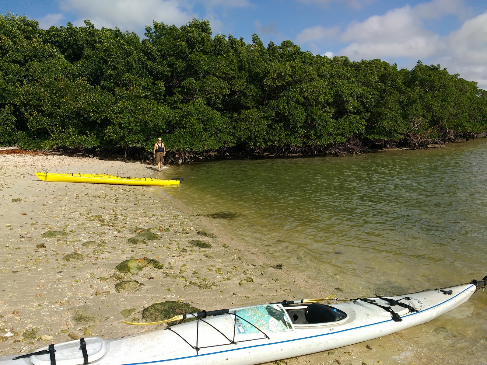 Photo de Jewell Key avec l'eau turquoise de surface