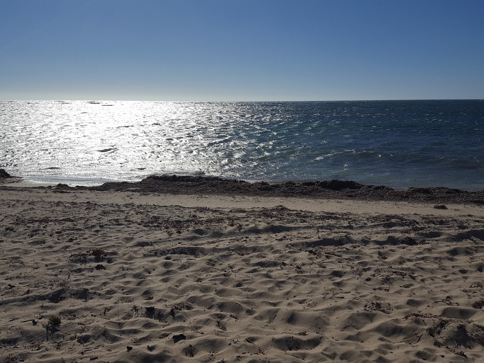 7 Mile Beach的照片 具有非常干净级别的清洁度