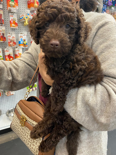 Pet Store «The Pet Zone», reviews and photos, 2001 South Rd, Poughkeepsie, NY 12601, USA