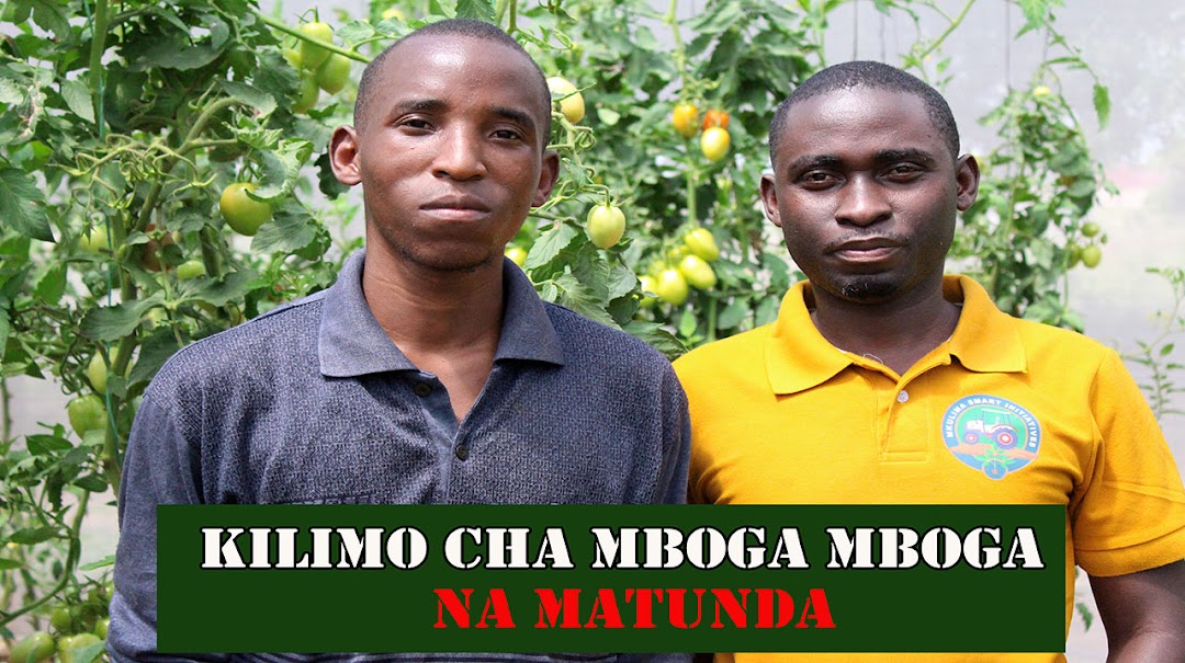 Mkulima Smart Initiatives