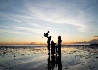 Natasha Lynn Photography - Car repair in Spring Hill, FL, Spring Hill - Rated 4.8/5