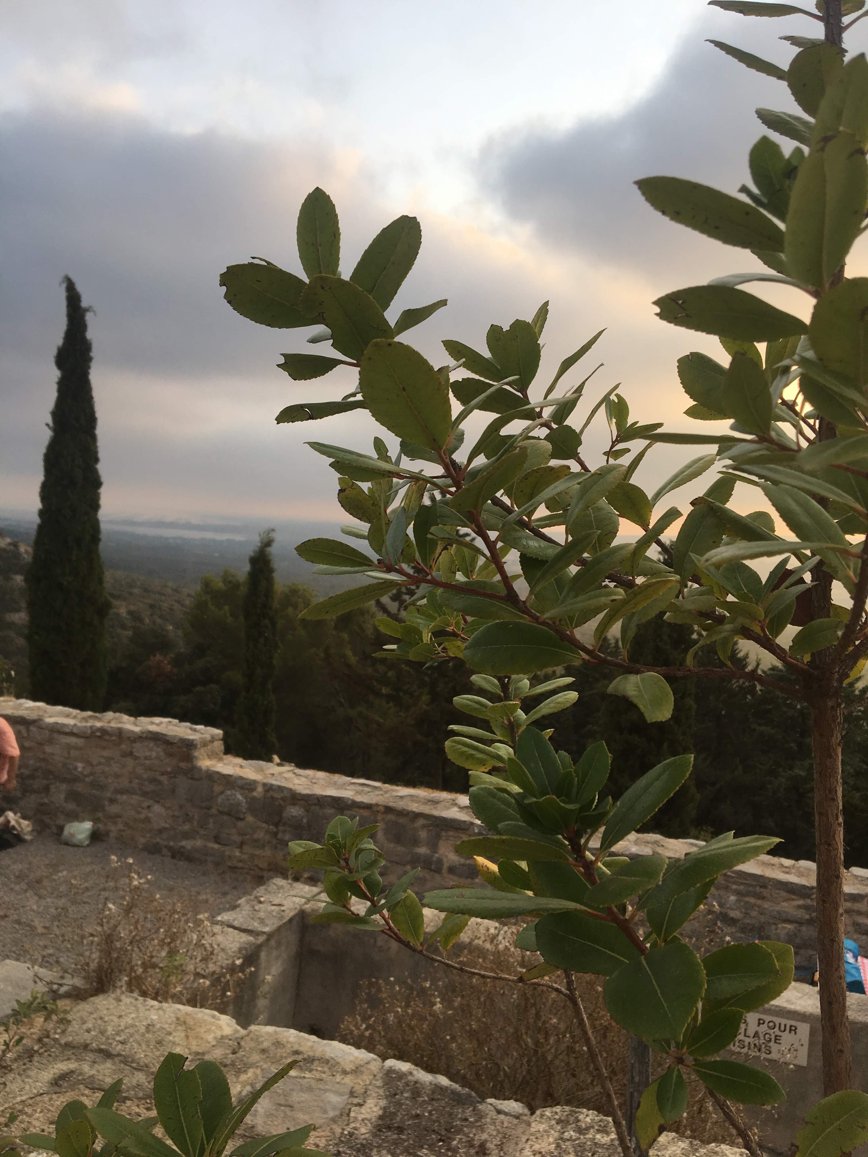Photo n° 3 de l'avis de Sophie.a fait le 09/07/2019 à 07:48