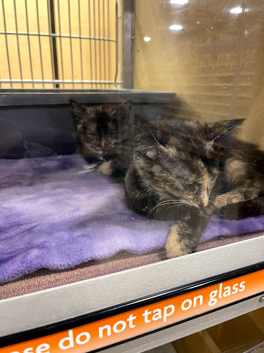 Pet Supply Store «PetSmart», reviews and photos, 2865 Oak Valley Dr, Ann Arbor, MI 48103, USA