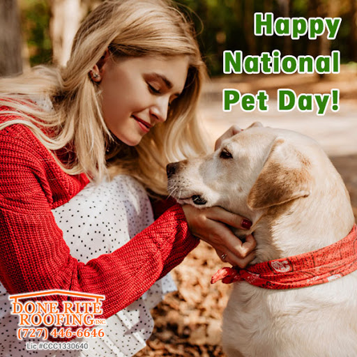 Roofing Contractor «Done Rite Roofing Inc», reviews and photos, 12438 Bristol Commons Cir, Westchase, FL 33626, USA