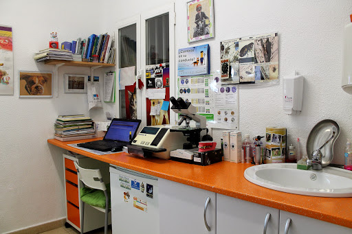 Ancora Veterinarios en Madrid