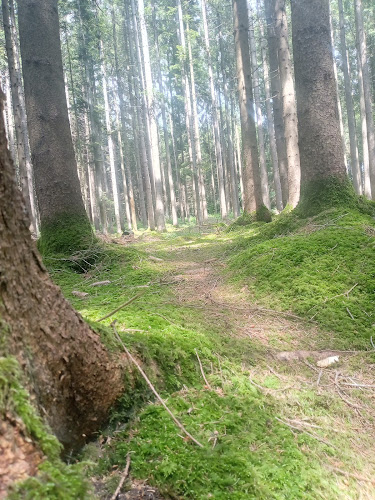 Naturschutzgebiet Hudelmoos - Parkhaus