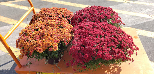 Home Improvement Store «The Home Depot», reviews and photos, 7 N Park Dr, Newton, NJ 07860, USA