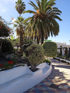 Jardín El Paredón C. Antonio Pino Pérez, 1, 38750 El Paso, Santa Cruz de Tenerife, España