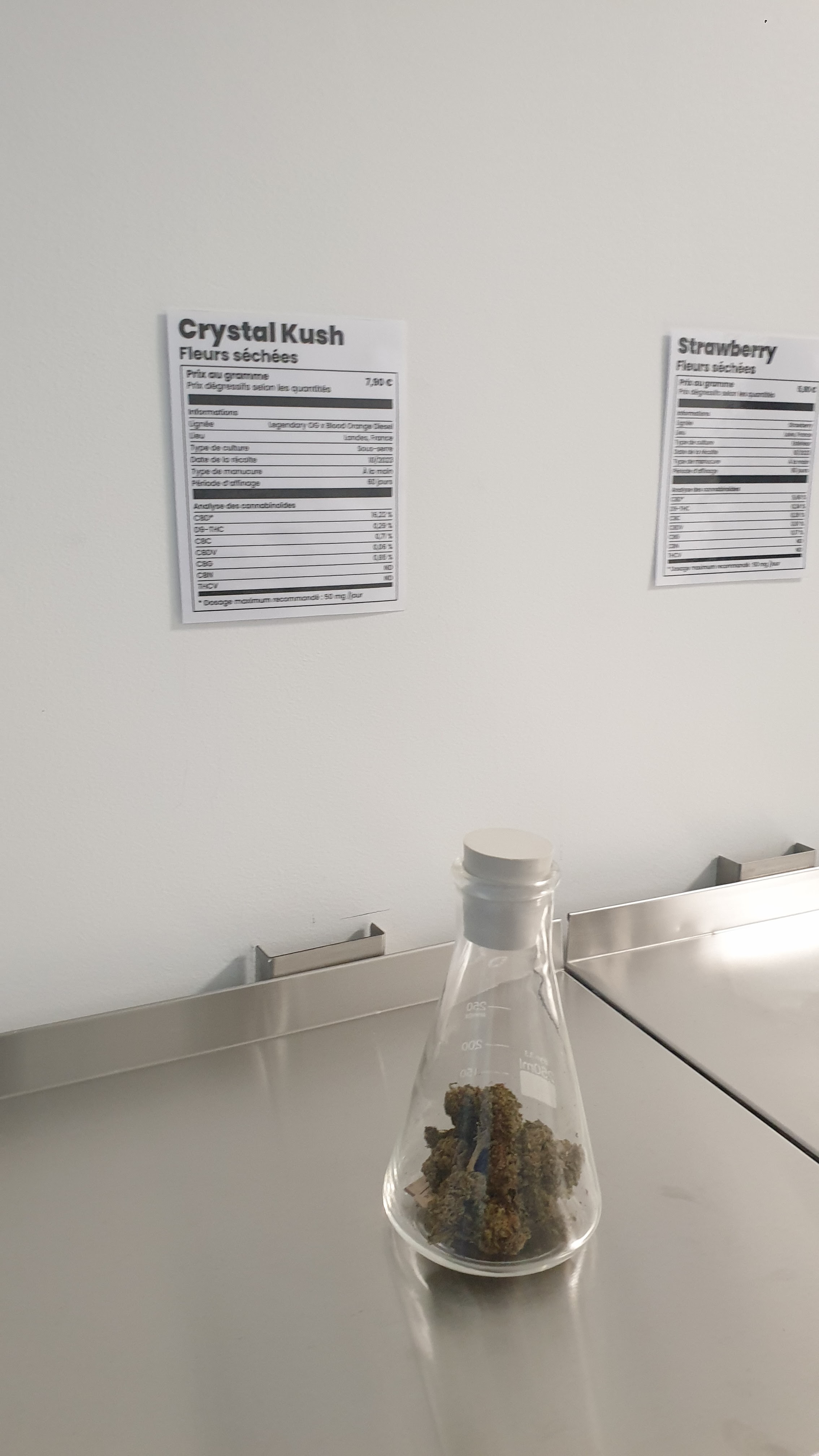 Photo n° 2 de l'avis de aude.u fait le 15/03/2024 à 06:54