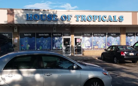 House Of Tropicals image