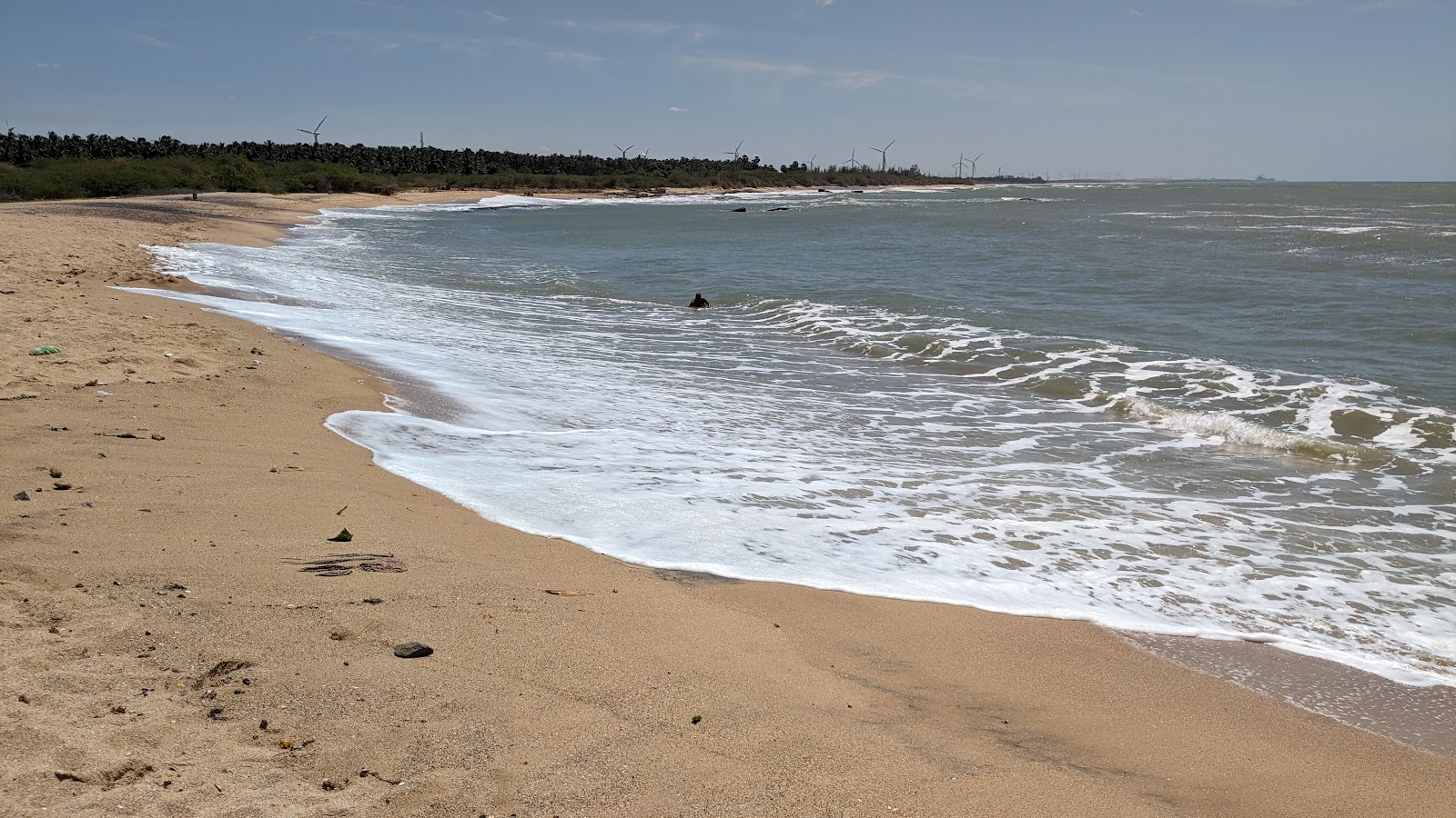 Φωτογραφία του Rasthakaadu Beach με φωτεινή άμμος επιφάνεια