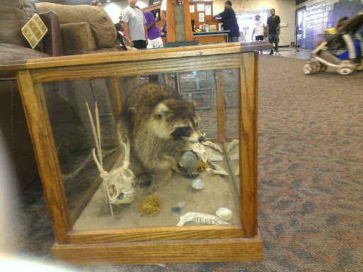 Jewelry Store «American Jewelry & Loan - Detroit», reviews and photos, 20450 Greenfield Rd, Detroit, MI 48235, USA