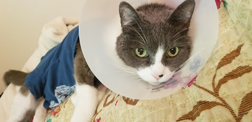 4102 Stone Way N, Seattle, WA 98103, USA